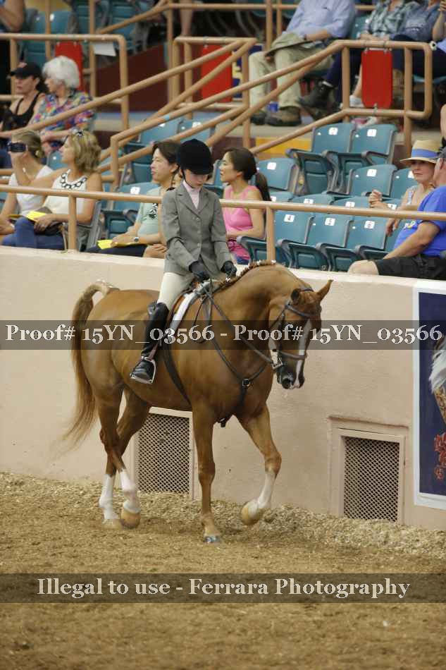 Proof 15YN_03566