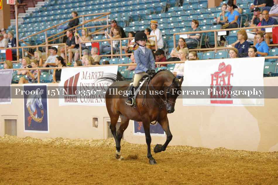 Proof 15YN_03567