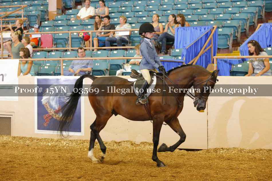 Proof 15YN_03569