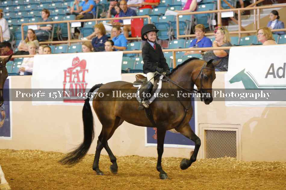 Proof 15YN_03570