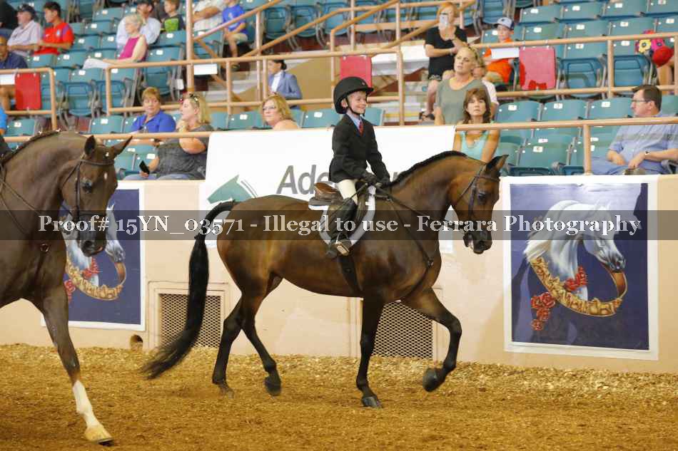 Proof 15YN_03571