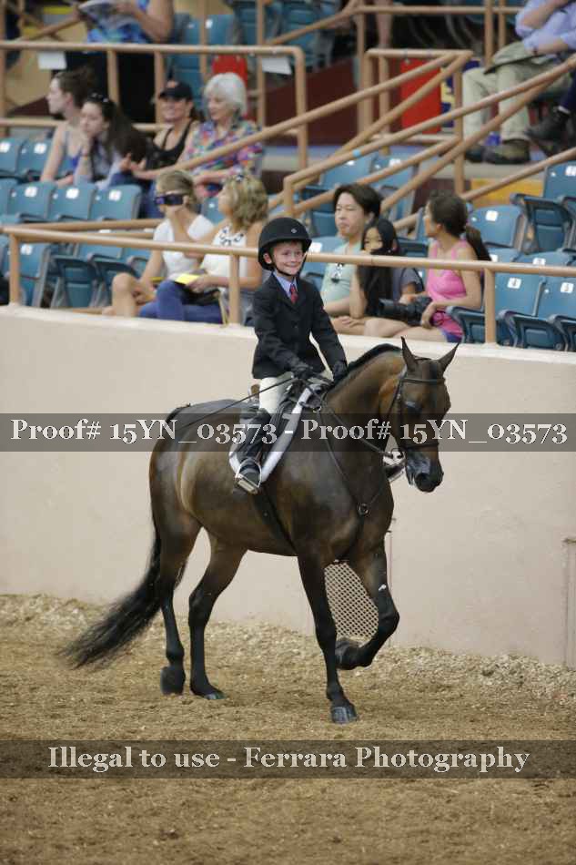 Proof 15YN_03573