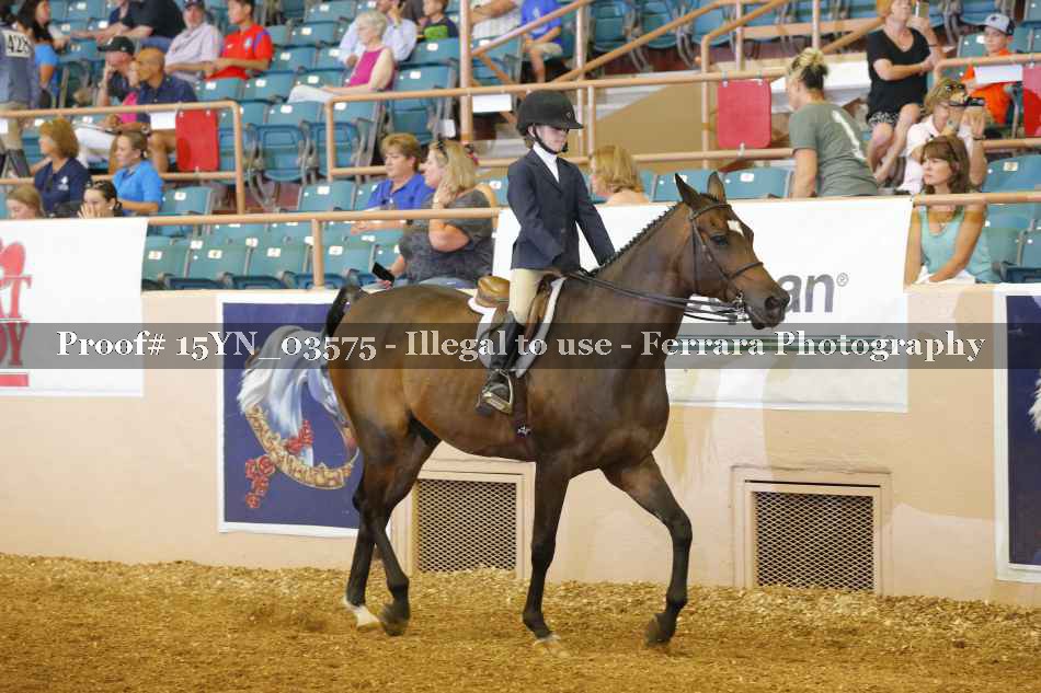 Proof 15YN_03575