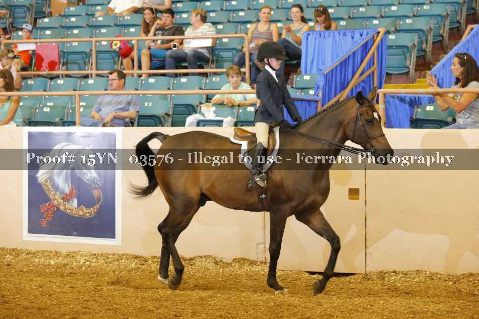 Proof 15YN_03576