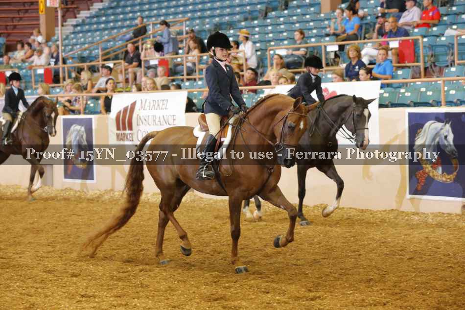 Proof 15YN_03577