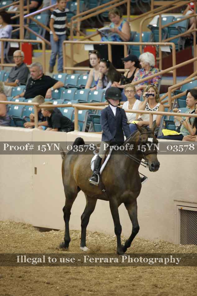 Proof 15YN_03578