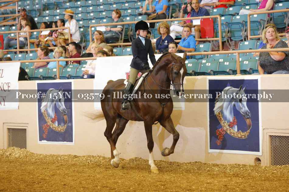 Proof 15YN_03579