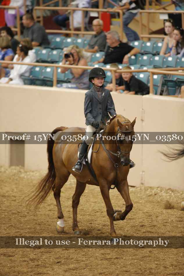 Proof 15YN_03580