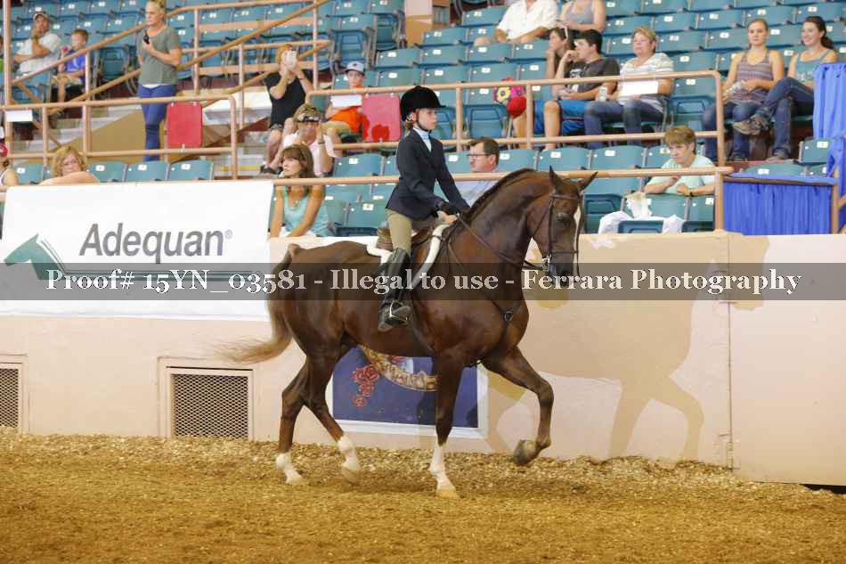 Proof 15YN_03581
