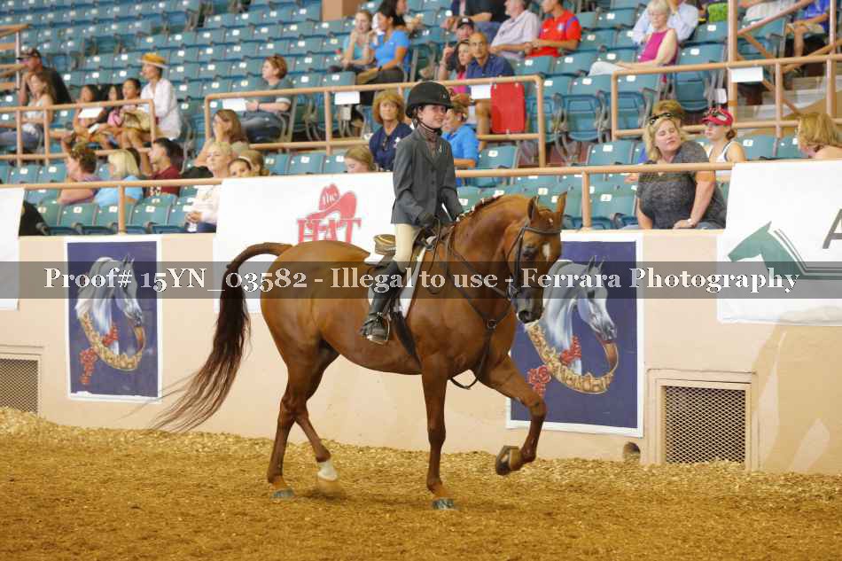 Proof 15YN_03582