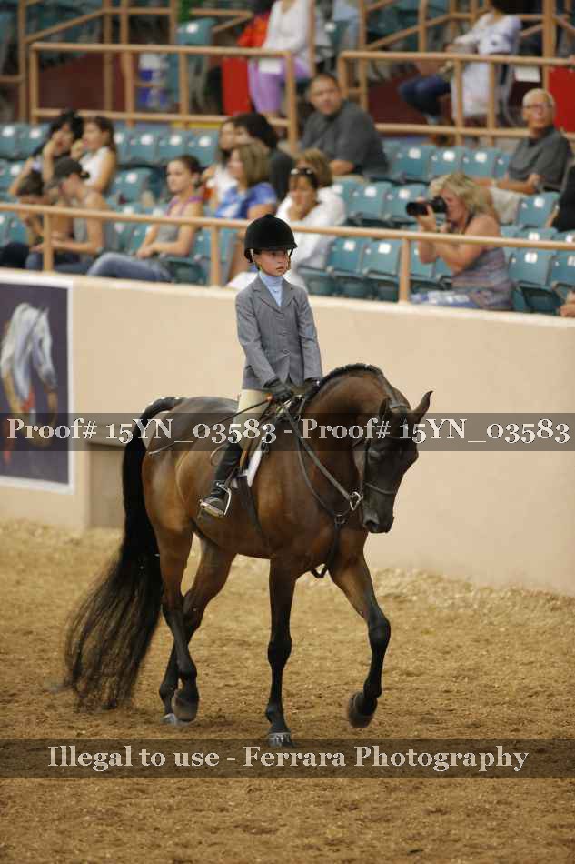 Proof 15YN_03583