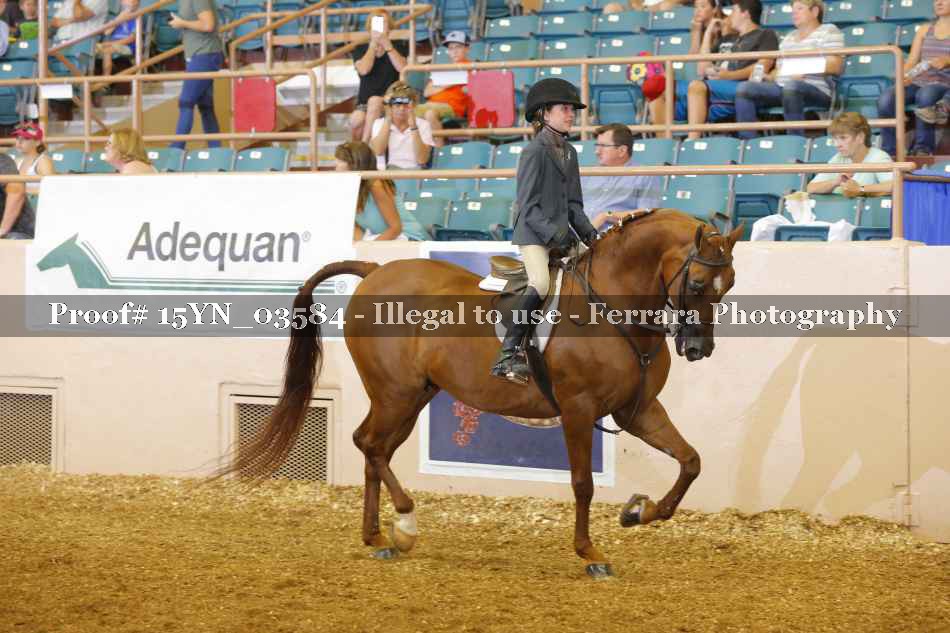 Proof 15YN_03584