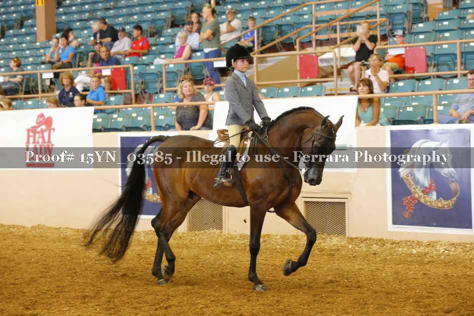 Proof 15YN_03585