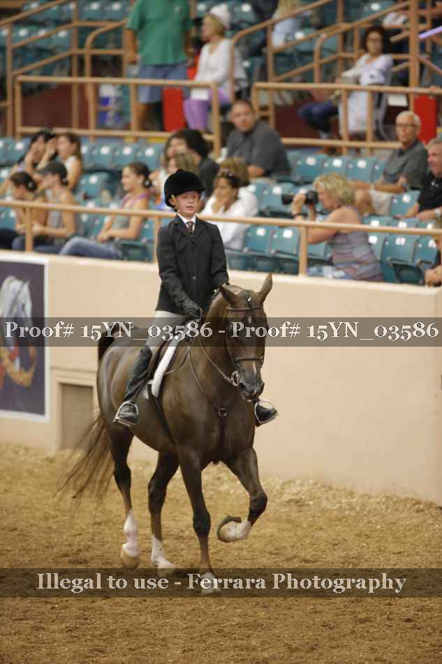 Proof 15YN_03586