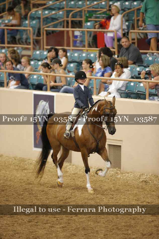 Proof 15YN_03587