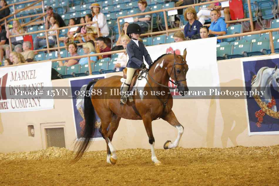 Proof 15YN_03588
