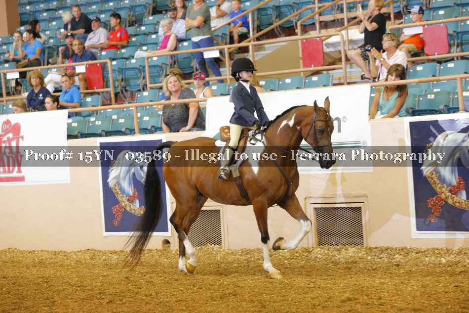 Proof 15YN_03589