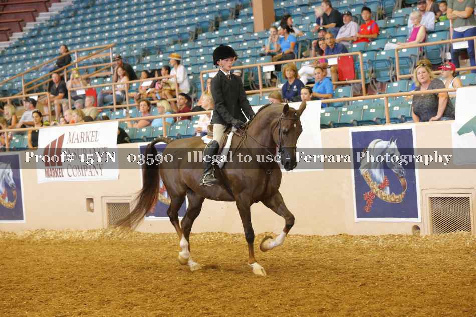 Proof 15YN_03590