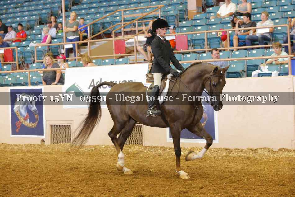 Proof 15YN_03591