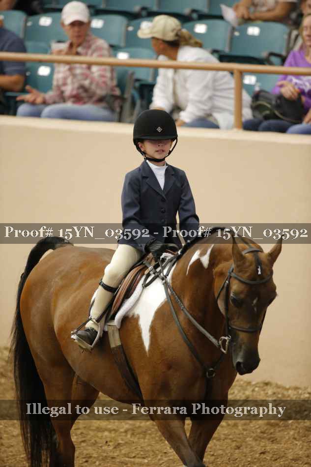 Proof 15YN_03592