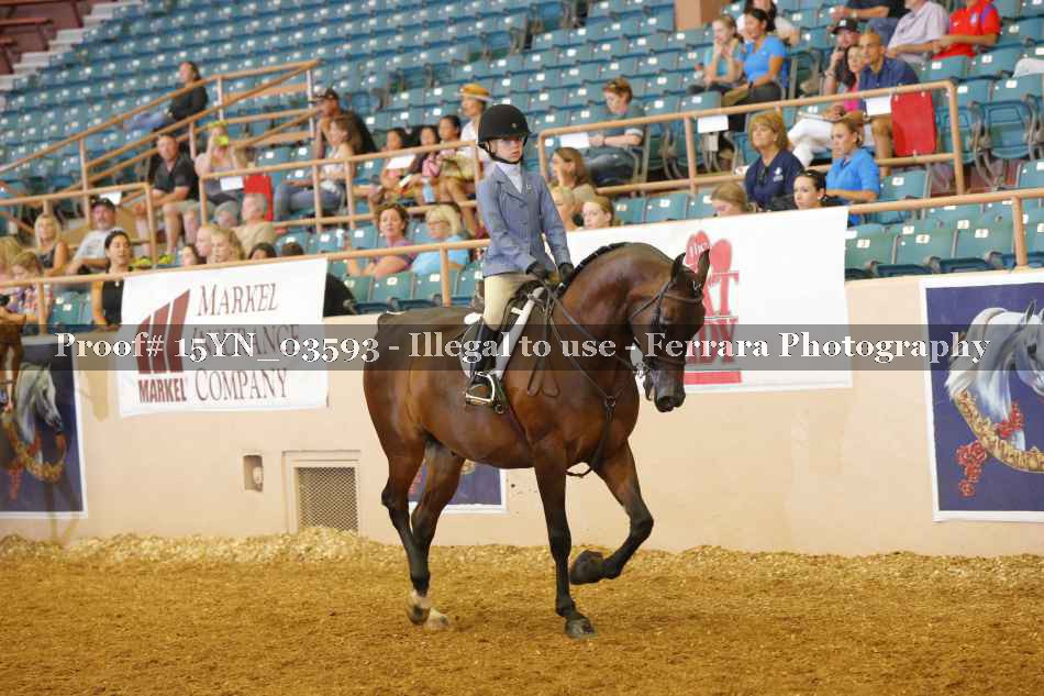 Proof 15YN_03593