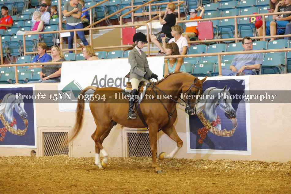 Proof 15YN_03594