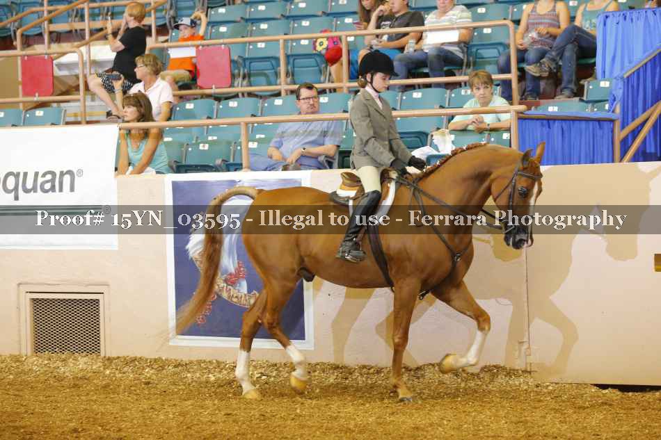 Proof 15YN_03595