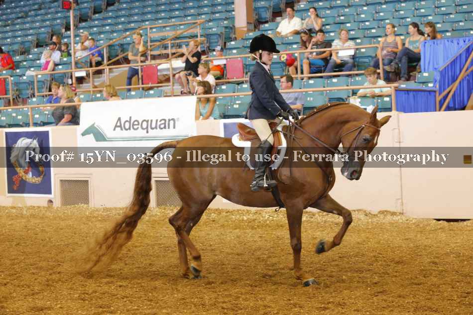 Proof 15YN_03596