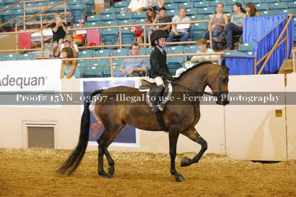 Proof 15YN_03597