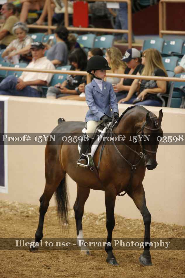 Proof 15YN_03598