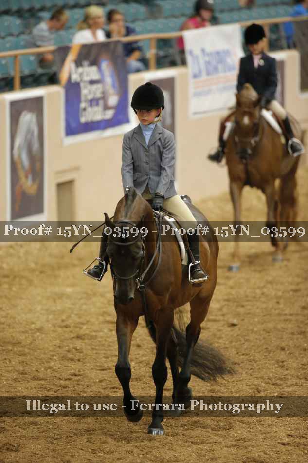 Proof 15YN_03599