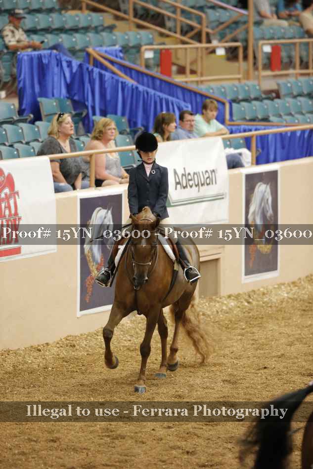 Proof 15YN_03600