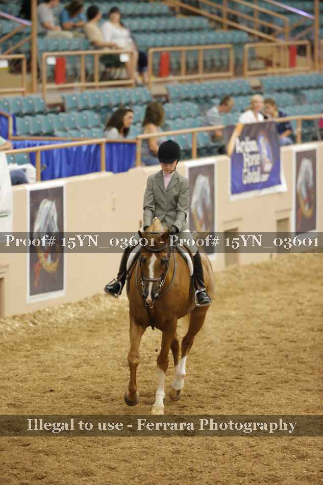 Proof 15YN_03601