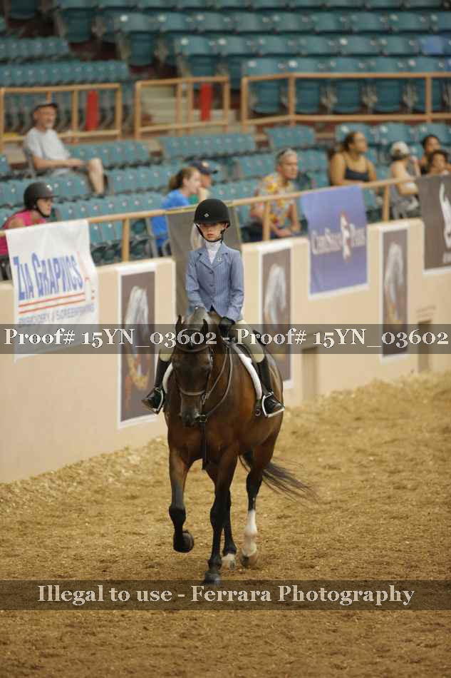 Proof 15YN_03602