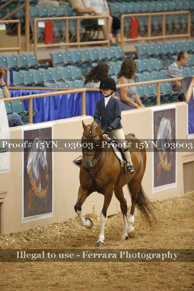 Proof 15YN_03603