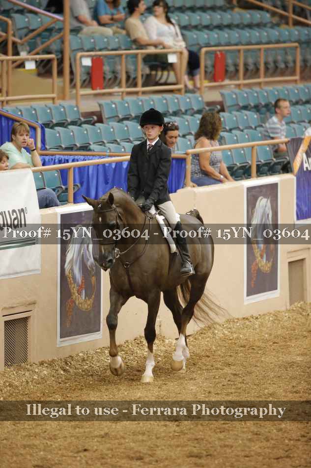 Proof 15YN_03604