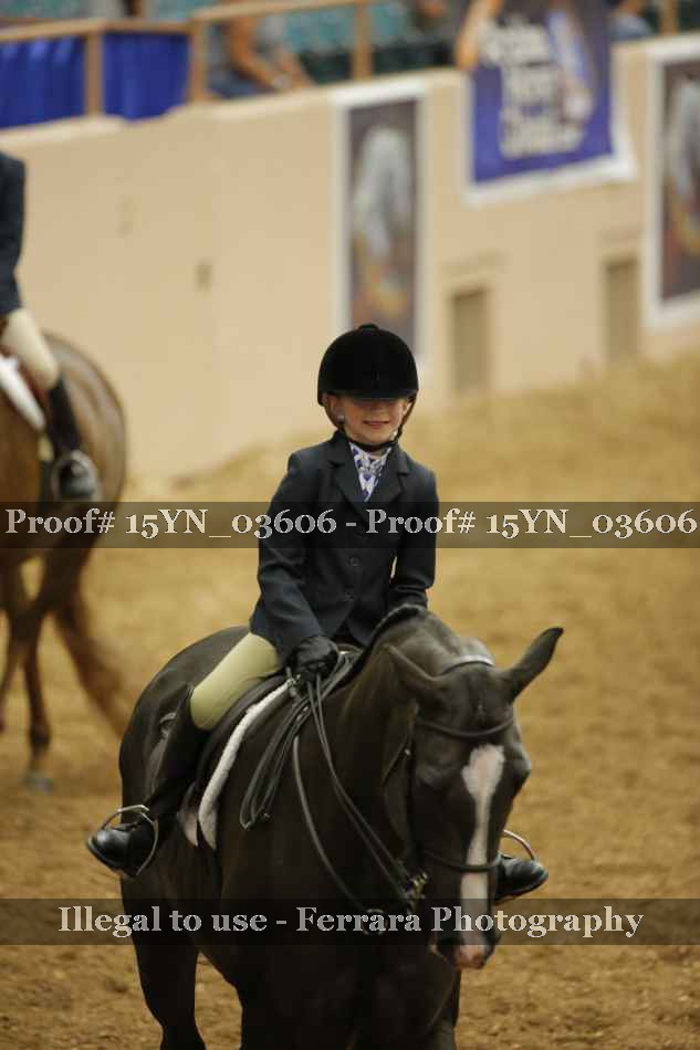 Proof 15YN_03606