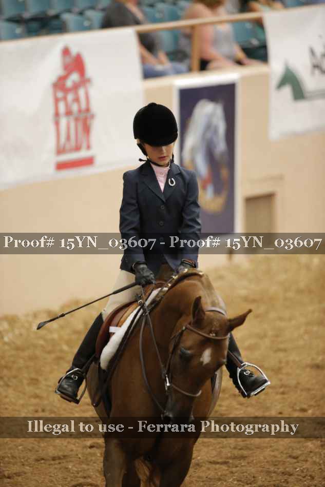Proof 15YN_03607