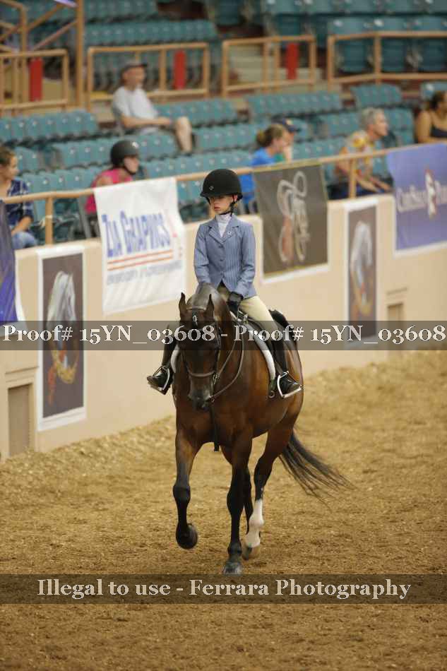 Proof 15YN_03608