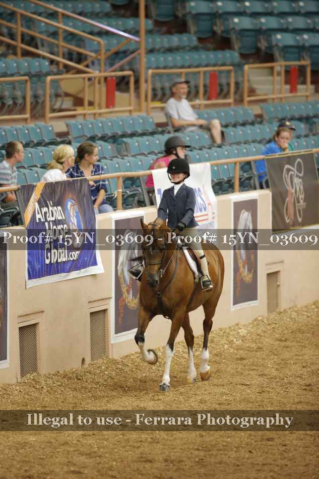 Proof 15YN_03609