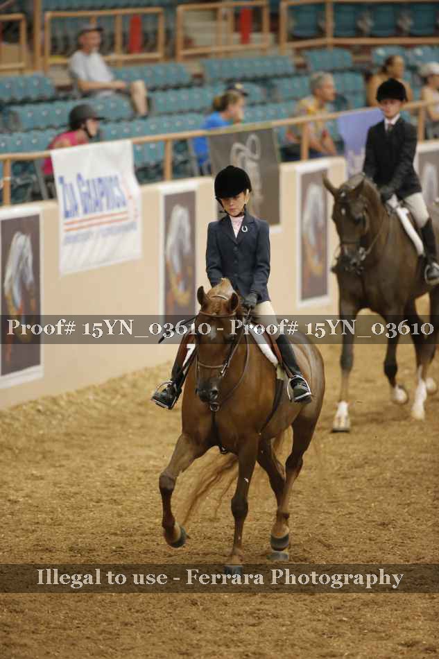 Proof 15YN_03610