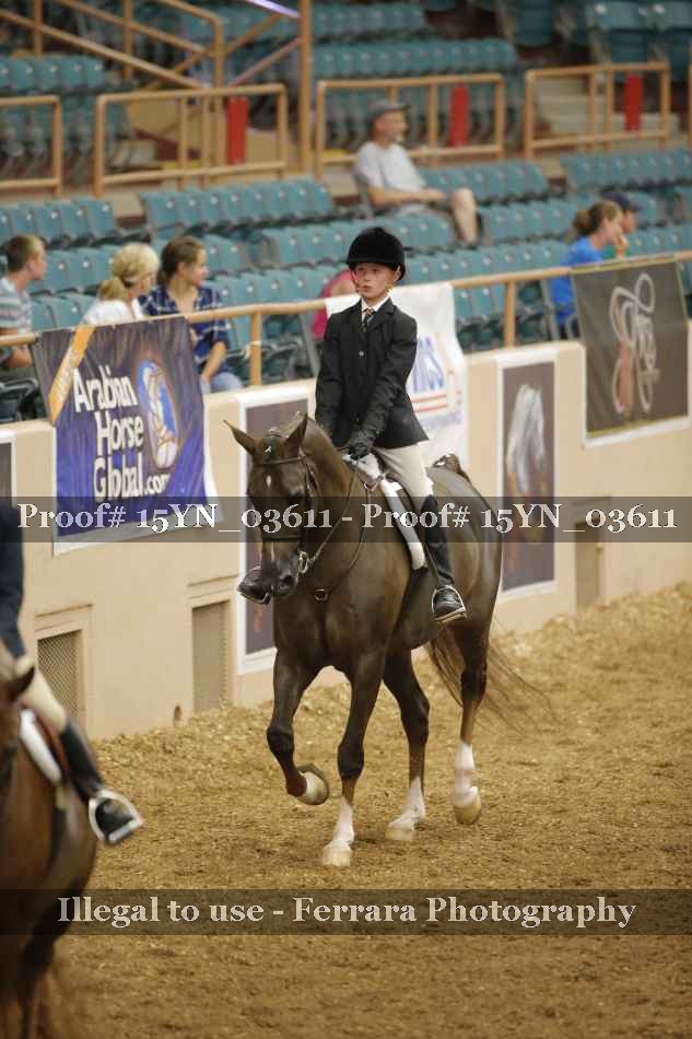 Proof 15YN_03611