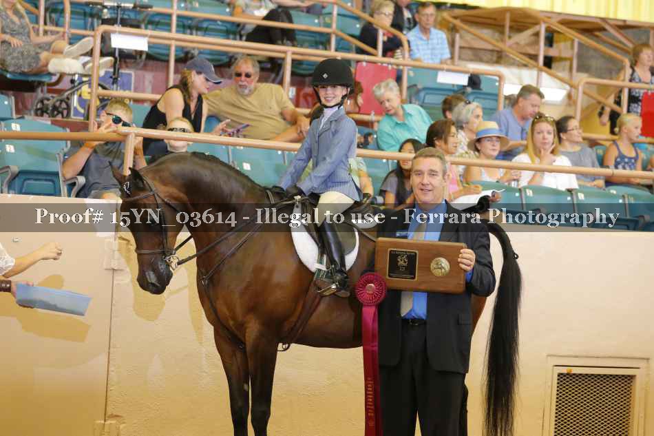 Proof 15YN_03614