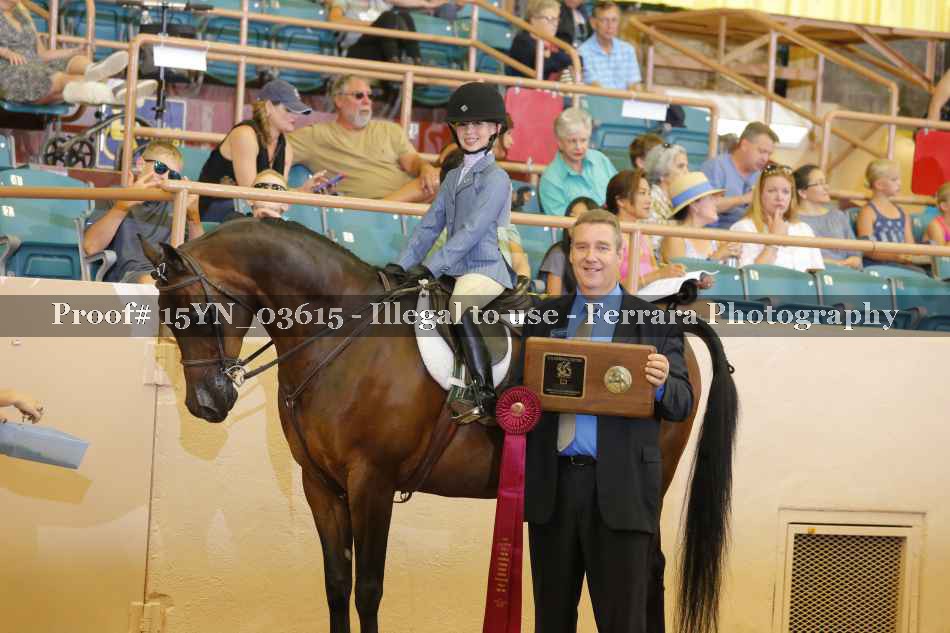 Proof 15YN_03615