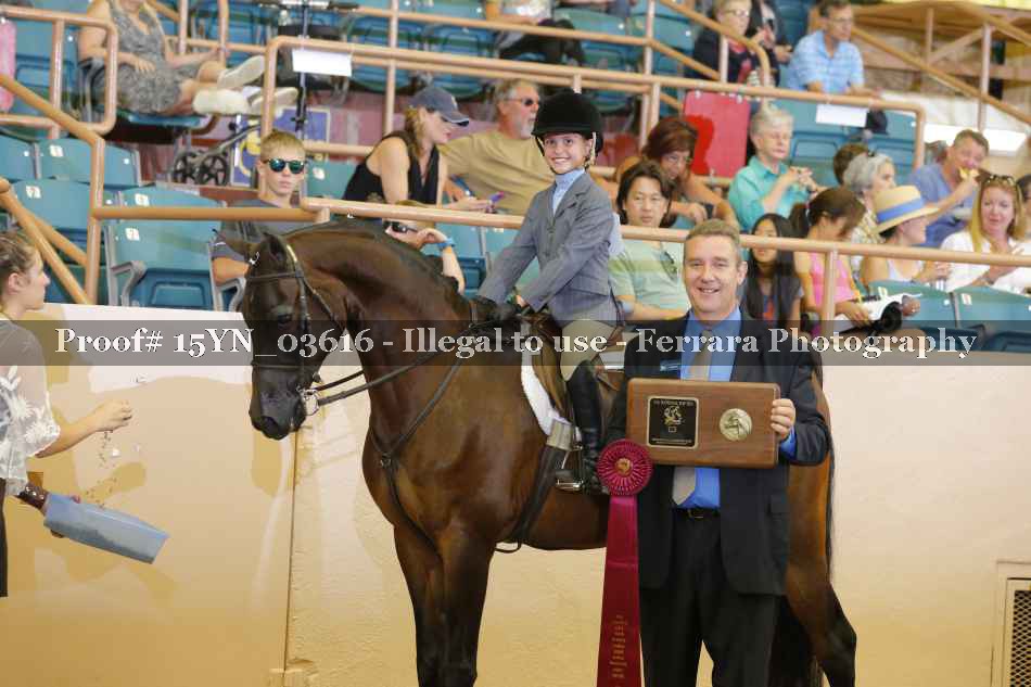 Proof 15YN_03616