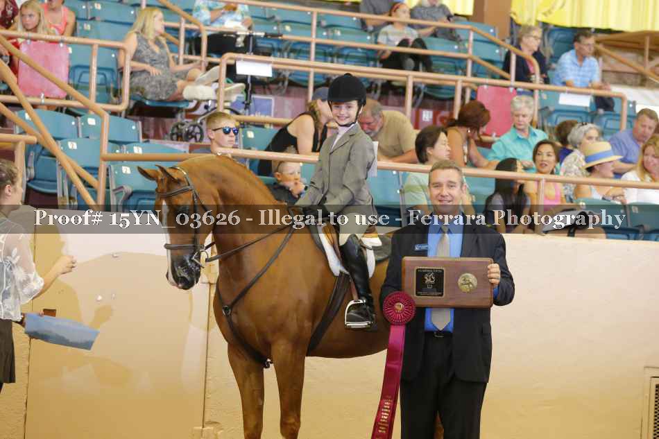 Proof 15YN_03626