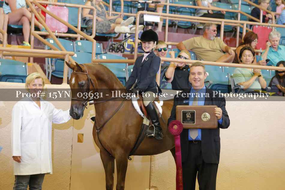 Proof 15YN_03631