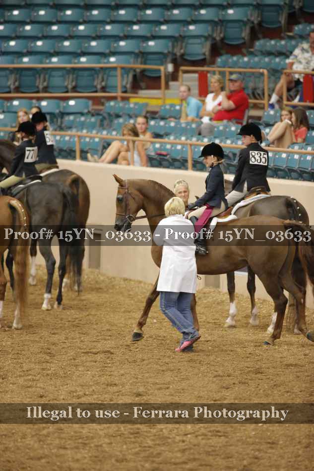 Proof 15YN_03633