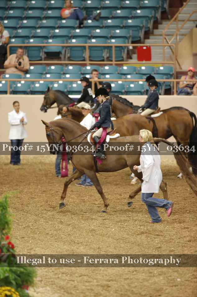 Proof 15YN_03634