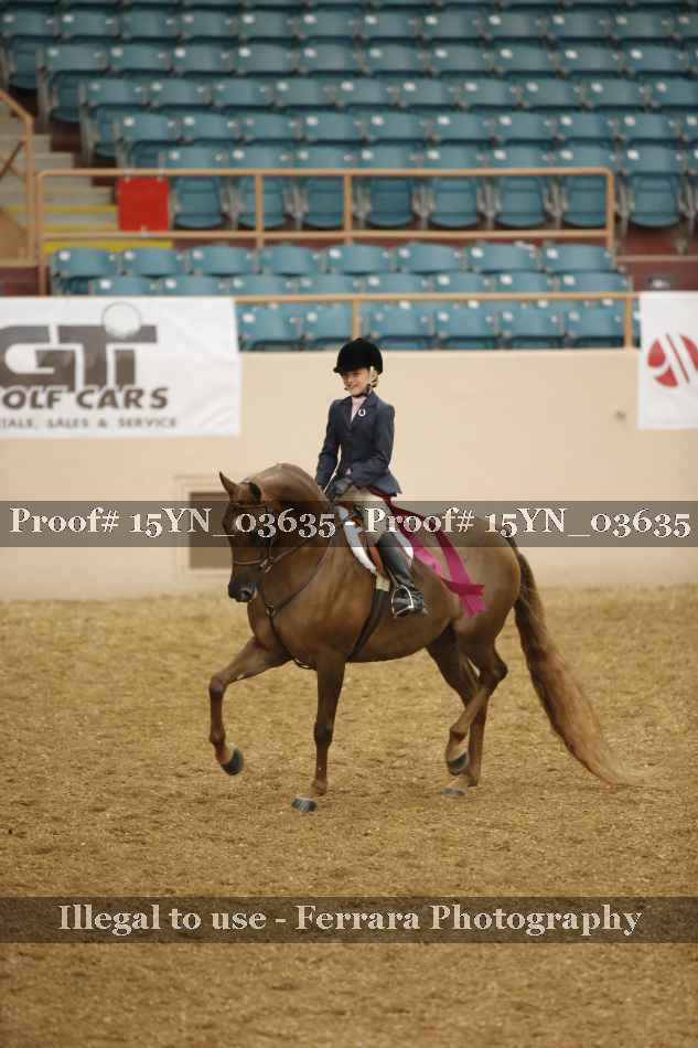 Proof 15YN_03635